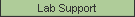 Lab Support