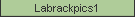 Labrackpics1