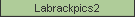 Labrackpics2